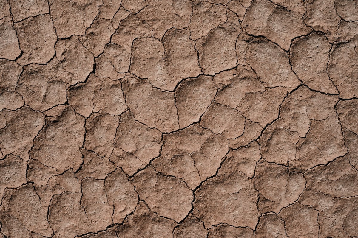 Imagem ilustrativa relacionada a Dia Mundial de Combate à Desertificação e à Seca