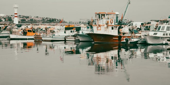 Ilustração remete a um barco a vapor navegando por um rio largo cercado de vegetação