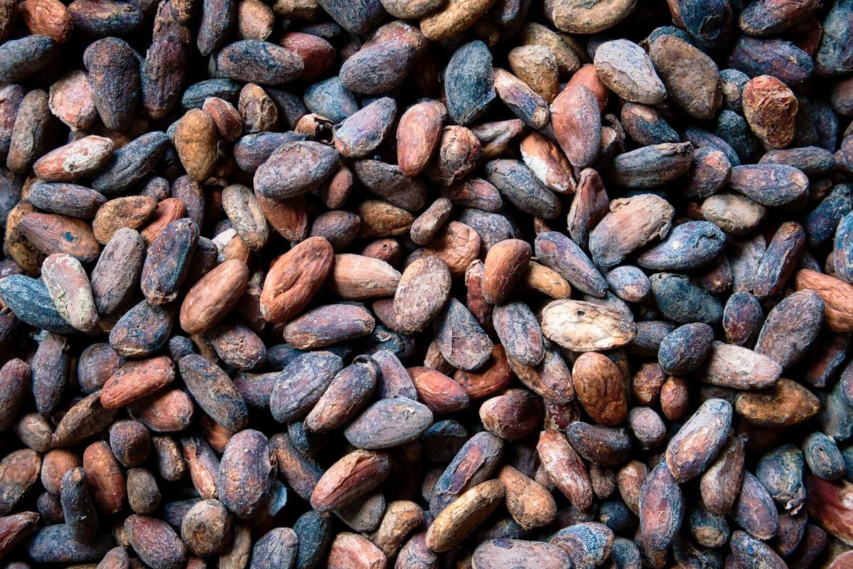 Barras e pedaços de chocolate derretido dispostos sobre uma mesa de madeira