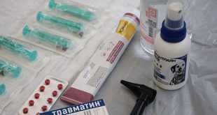 Médico urologista conversando com paciente em consultório médico