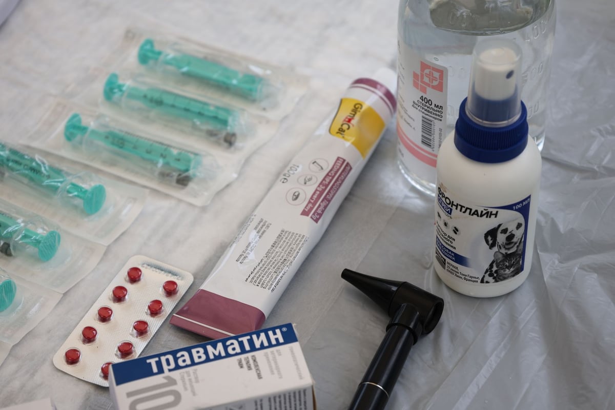 Médico urologista conversando com paciente em consultório médico