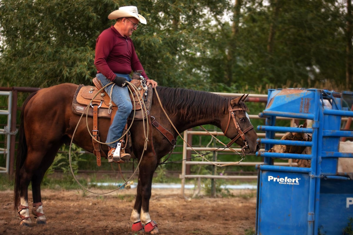 Criador conduz cavalo pelas rédeas em pasto de fazenda
