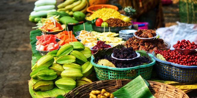 Imagem ilustrativa relacionada a Dia da Saúde e Nutrição