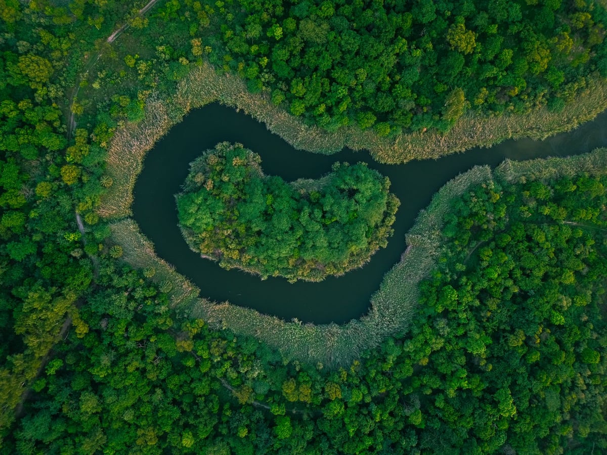 Curso de rio cercado por vegetação sob luz de fim de tarde