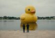 pato do Master